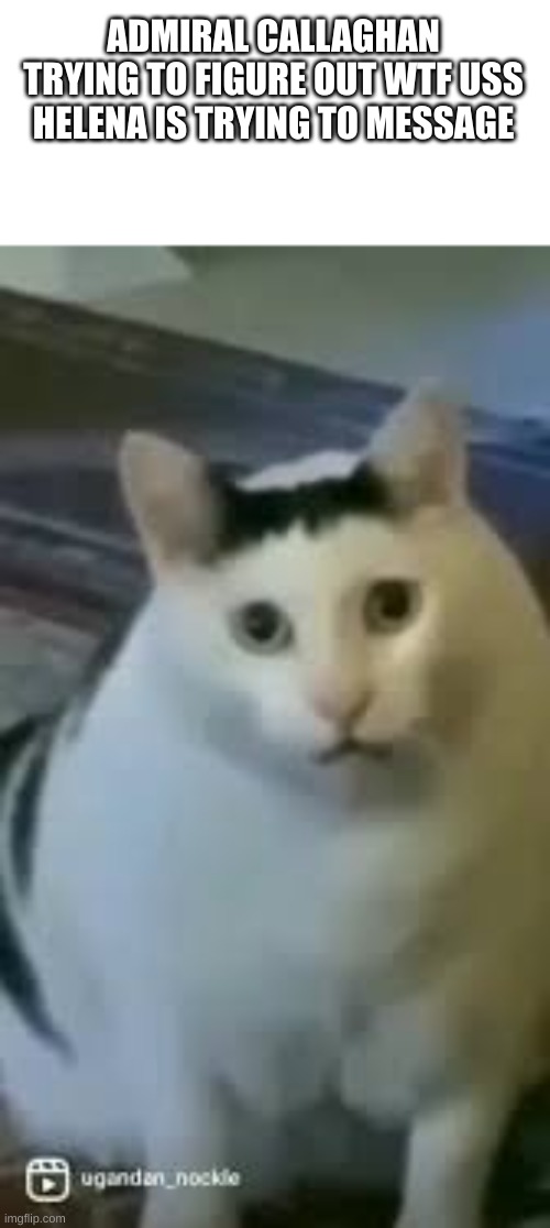 Huh Cat | ADMIRAL CALLAGHAN TRYING TO FIGURE OUT WTF USS HELENA IS TRYING TO MESSAGE | image tagged in huh cat | made w/ Imgflip meme maker