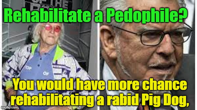 Pedo Maggots and rehabilitation | Rehabilitate a Pedophile? Yarra Man; You would have more chance rehabilitating a rabid Pig Dog, | image tagged in predators,priests,churches,judges,politicians,rock spiders | made w/ Imgflip meme maker