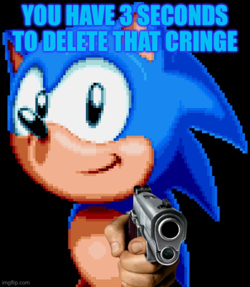 WARNING! WARNING? WARNING! | YOU HAVE 3 SECONDS TO DELETE THAT CRINGE | image tagged in sonic with a gun | made w/ Imgflip meme maker