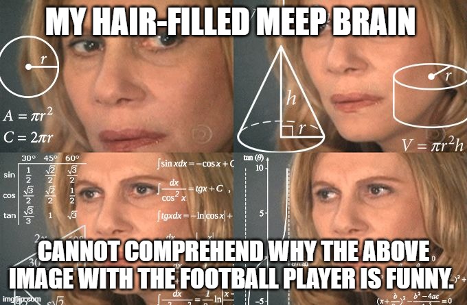 Calculating meme | MY HAIR-FILLED MEEP BRAIN CANNOT COMPREHEND WHY THE ABOVE IMAGE WITH THE FOOTBALL PLAYER IS FUNNY. | image tagged in calculating meme | made w/ Imgflip meme maker