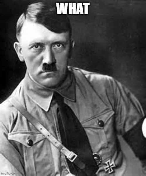 Adolf Hitler | WHAT | image tagged in adolf hitler | made w/ Imgflip meme maker