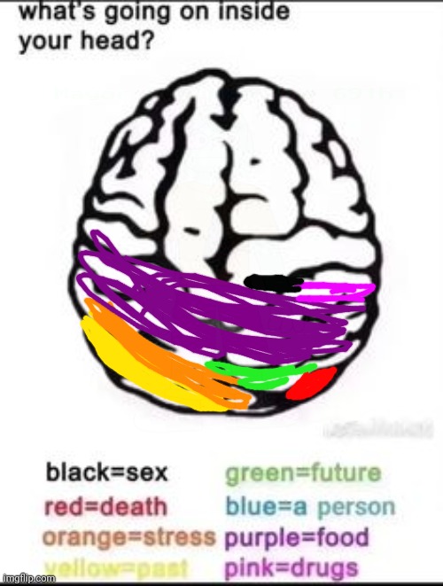 What's going on inside your head? | image tagged in what's going on inside your head | made w/ Imgflip meme maker