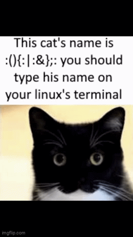 Fun fact: type that into your Linux terminal to create a fork bomb ...