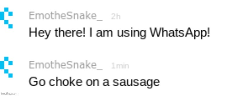 Go choke on a sausage | image tagged in go choke on a sausage | made w/ Imgflip meme maker