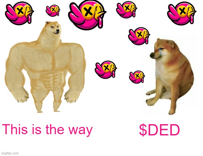 $DED Drop meme BY WADDUP1904 | This is the way; $DED | image tagged in memes,buff doge vs cheems | made w/ Imgflip meme maker