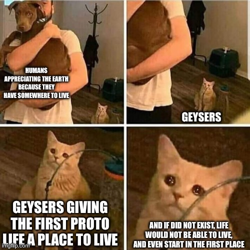 GIVE MORE CREDIT GUYS | HUMANS APPRECIATING THE EARTH BECAUSE THEY HAVE SOMEWHERE TO LIVE; GEYSERS; GEYSERS GIVING THE FIRST PROTO LIFE A PLACE TO LIVE; AND IF DID NOT EXIST, LIFE WOULD NOT BE ABLE TO LIVE, AND EVEN START IN THE FIRST PLACE | image tagged in sad cat holding dog | made w/ Imgflip meme maker