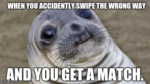 Awkward Moment Sealion | WHEN YOU ACCIDENTLY SWIPE THE WRONG WAY AND YOU GET A MATCH. | image tagged in awkward moment seal | made w/ Imgflip meme maker