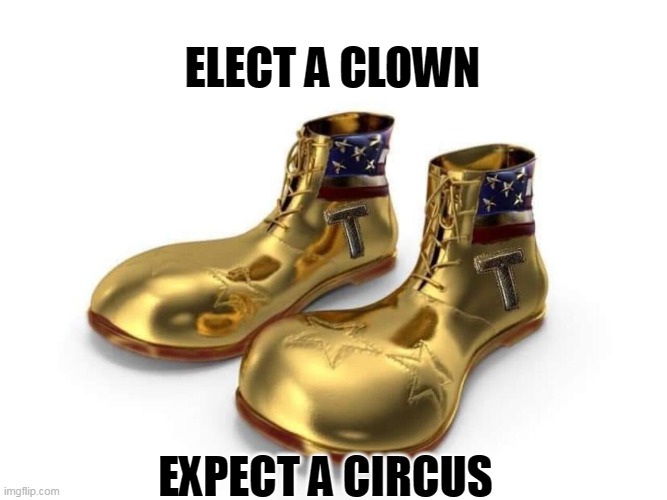Trump The Clown | ELECT A CLOWN; EXPECT A CIRCUS | image tagged in trump gold sneakers,trump sneakers,maga,trump47,47,trump2024 | made w/ Imgflip meme maker