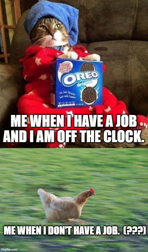 The irony of being busier when you are UNemployed. | ME WHEN I HAVE A JOB AND I AM OFF THE CLOCK. ME WHEN I DON'T HAVE A JOB.  (???) | image tagged in chillin cate,fast running chicken | made w/ Imgflip meme maker
