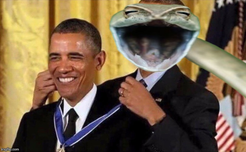 obama medal | image tagged in obama medal | made w/ Imgflip meme maker