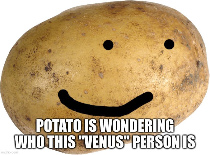 who is she? | POTATO IS WONDERING WHO THIS "VENUS" PERSON IS | image tagged in potato | made w/ Imgflip meme maker