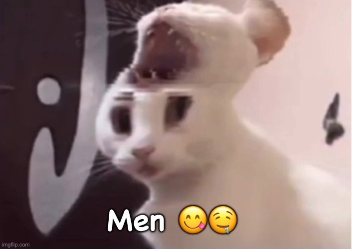 Shocked cat | Men 😋🤤 | image tagged in shocked cat | made w/ Imgflip meme maker