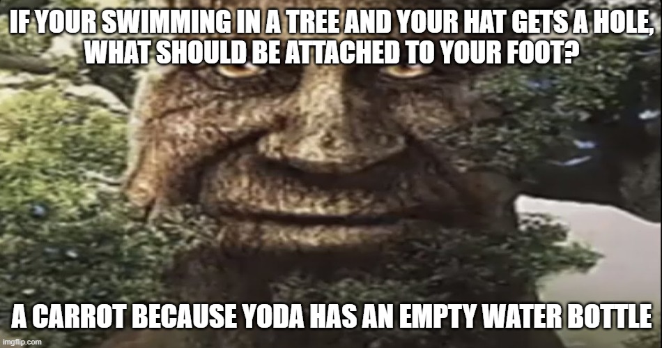 Riddle | IF YOUR SWIMMING IN A TREE AND YOUR HAT GETS A HOLE,
WHAT SHOULD BE ATTACHED TO YOUR FOOT? A CARROT BECAUSE YODA HAS AN EMPTY WATER BOTTLE | image tagged in wise mystical tree | made w/ Imgflip meme maker