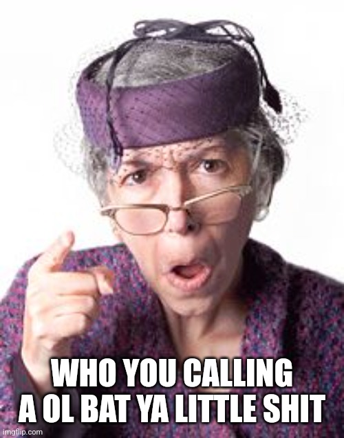 Scolding old lady | WHO YOU CALLING A OL BAT YA LITTLE SHIT | image tagged in scolding old lady | made w/ Imgflip meme maker