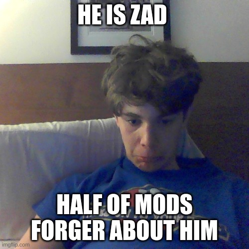 sad..... | HE IS ZAD; HALF OF MODS FORGER ABOUT HIM | made w/ Imgflip meme maker