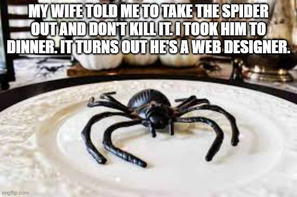meme by Brad my wife asked me to take the spider out | MY WIFE TOLD ME TO TAKE THE SPIDER OUT AND DON'T KILL IT. I TOOK HIM TO DINNER. IT TURNS OUT HE'S A WEB DESIGNER. | image tagged in gaming,funny,spider,pc gaming,computer games,video games | made w/ Imgflip meme maker