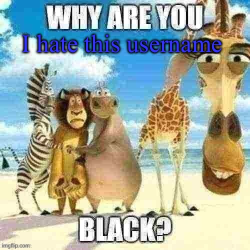 why are you black? | I hate this username | image tagged in why are you black | made w/ Imgflip meme maker