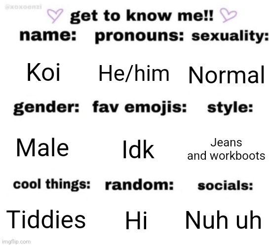 get to know me but better | Koi; He/him; Normal; Idk; Jeans and workboots; Male; Nuh uh; Hi; Tiddies | image tagged in get to know me but better | made w/ Imgflip meme maker