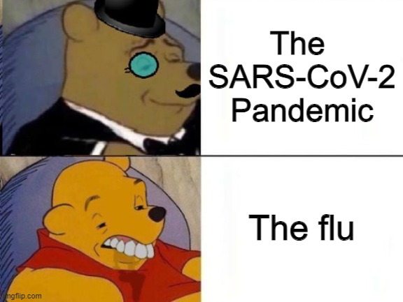 Fancy and Idiot Pooh | The 
SARS-CoV-2
Pandemic The flu | image tagged in fancy and idiot pooh | made w/ Imgflip meme maker