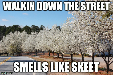 WALKIN DOWN THE STREET SMELLS LIKE SKEET | made w/ Imgflip meme maker