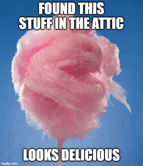 This stuff looks tasty! | FOUND THIS STUFF IN THE ATTIC; LOOKS DELICIOUS | image tagged in cotton candy | made w/ Imgflip meme maker