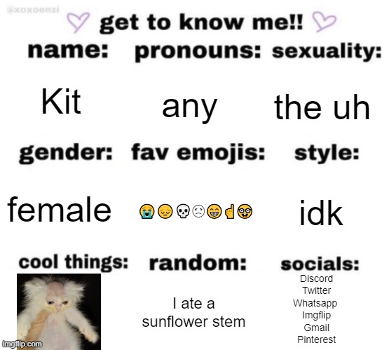 get to know me but better | Kit; any; the uh; idk; 😭😔💀☹😁☝🤓; female; Discord
Twitter
Whatsapp 
Imgflip
Gmail
Pinterest; I ate a sunflower stem | image tagged in get to know me but better | made w/ Imgflip meme maker