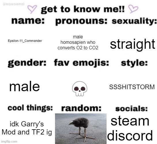 get to know me but better | Epsilon-11_Commander; male homosapien who converts O2 to CO2; straight; SSSHITSTORM; male; 💀; steam
discord; idk Garry's Mod and TF2 ig | image tagged in get to know me but better | made w/ Imgflip meme maker