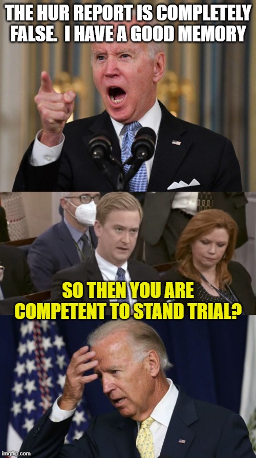 THE HUR REPORT IS COMPLETELY FALSE.  I HAVE A GOOD MEMORY; SO THEN YOU ARE COMPETENT TO STAND TRIAL? | image tagged in angry biden,peter doocy asking questions,joe biden worries | made w/ Imgflip meme maker