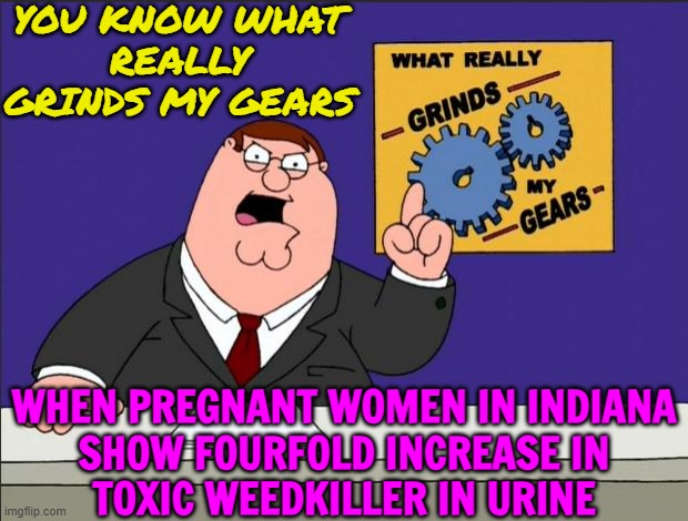Pregnant Women In Indiana Show Fourfold Increase In Toxic Weedkiller In Urine | YOU KNOW WHAT
REALLY GRINDS MY GEARS; WHEN PREGNANT WOMEN IN INDIANA
SHOW FOURFOLD INCREASE IN
TOXIC WEEDKILLER IN URINE | image tagged in peter griffin - grind my gears,toxic,pregnant woman,pregnancy,'murica,urine | made w/ Imgflip meme maker