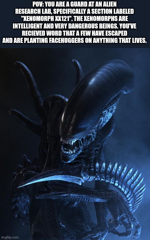 You may be armed with any modern weapon (M4, SCAR, M240, etc). Yes, you can use grenades of any kind. | POV: YOU ARE A GUARD AT AN ALIEN RESEARCH LAB, SPECIFICALLY A SECTION LABELED "XENOMORPH XX121". THE XENOMORPHS ARE INTELLIGENT AND VERY DANGEROUS BEINGS. YOU'VE RECIEVED WORD THAT A FEW HAVE ESCAPED AND ARE PLANTING FACEHUGGERS ON ANYTHING THAT LIVES. | image tagged in alien xenomorph | made w/ Imgflip meme maker