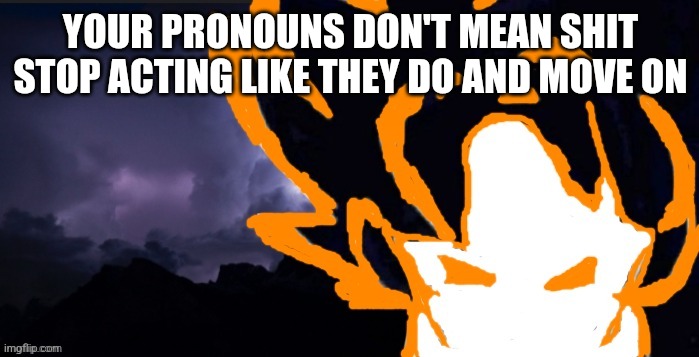 LowTeirGoob | YOUR PRONOUNS DON'T MEAN SHIT STOP ACTING LIKE THEY DO AND MOVE ON | image tagged in lowteirgoob | made w/ Imgflip meme maker