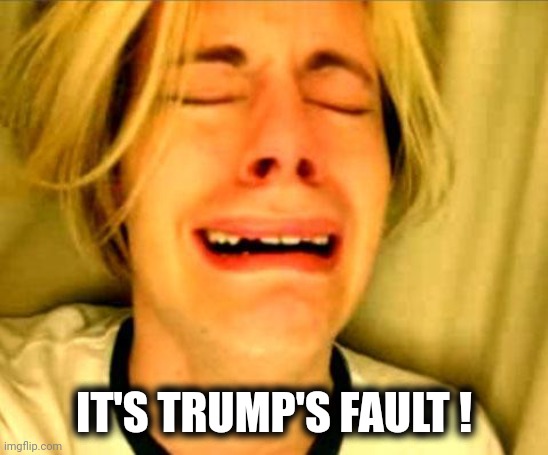 Leave Britney Alone | IT'S TRUMP'S FAULT ! | image tagged in leave britney alone | made w/ Imgflip meme maker