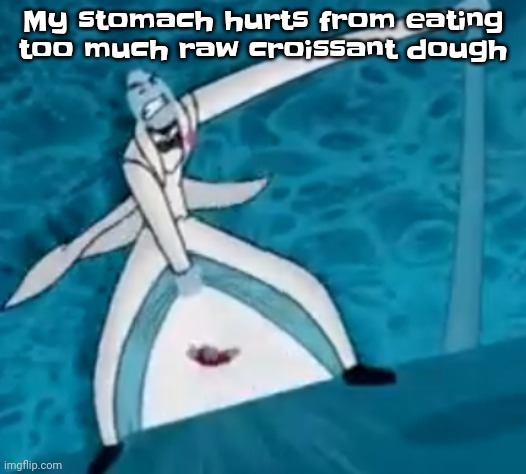 Guhhhh | My stomach hurts from eating too much raw croissant dough | image tagged in ishovedanukeupmypussy | made w/ Imgflip meme maker