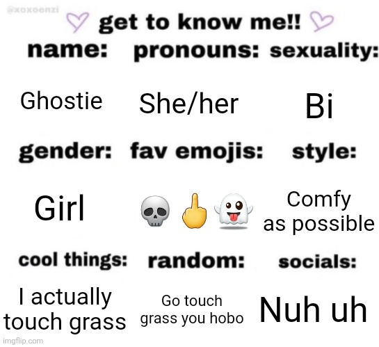 get to know me but better | Ghostie; She/her; Bi; 💀🖕👻; Comfy as possible; Girl; Nuh uh; Go touch grass you hobo; I actually touch grass | image tagged in get to know me but better | made w/ Imgflip meme maker