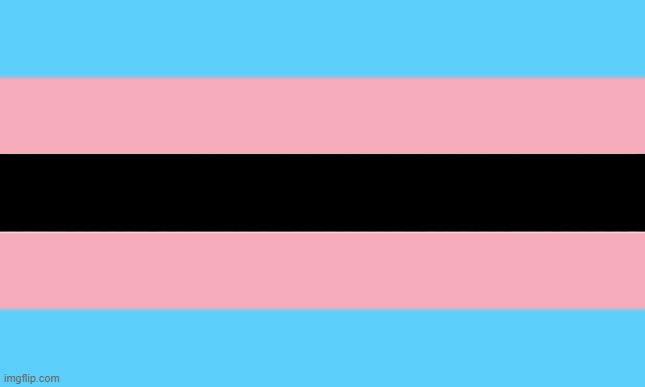 Flag | image tagged in flag,tired of hearing about transgenders,woke,transgender,politics | made w/ Imgflip meme maker