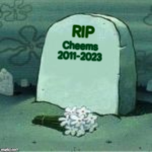 Goodbye Cheems | RIP; Cheems
2011-2023 | image tagged in here lies x,cheems,fun | made w/ Imgflip meme maker