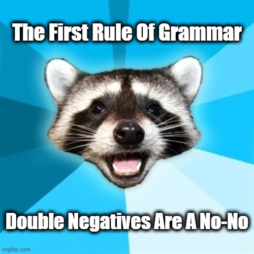 Chit Chat Mojo | The First Rule Of Grammar; Double Negatives Are A No-No | image tagged in memes,lame pun coon,raccoon meme,grammar joke,lame pun | made w/ Imgflip meme maker