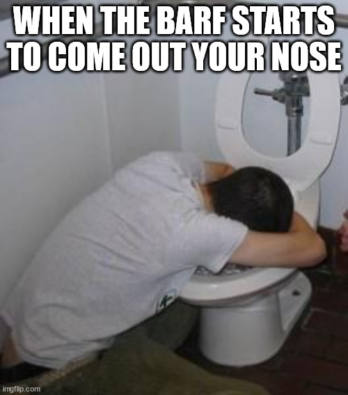 Drunk puking toilet | WHEN THE BARF STARTS TO COME OUT YOUR NOSE | image tagged in drunk puking toilet | made w/ Imgflip meme maker