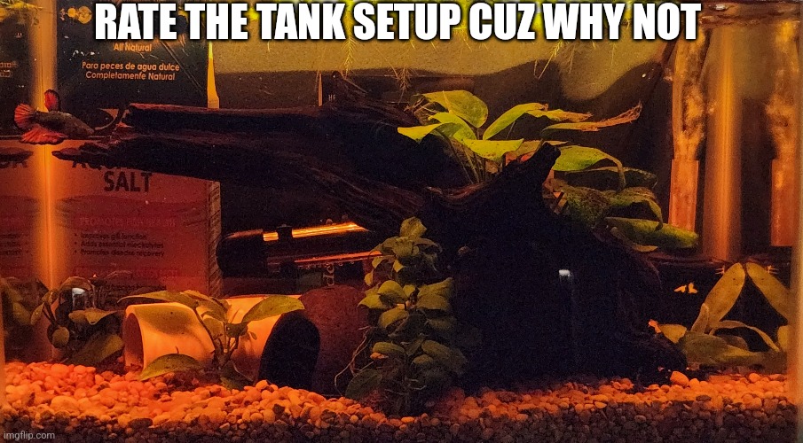 RATE THE TANK SETUP CUZ WHY NOT | made w/ Imgflip meme maker
