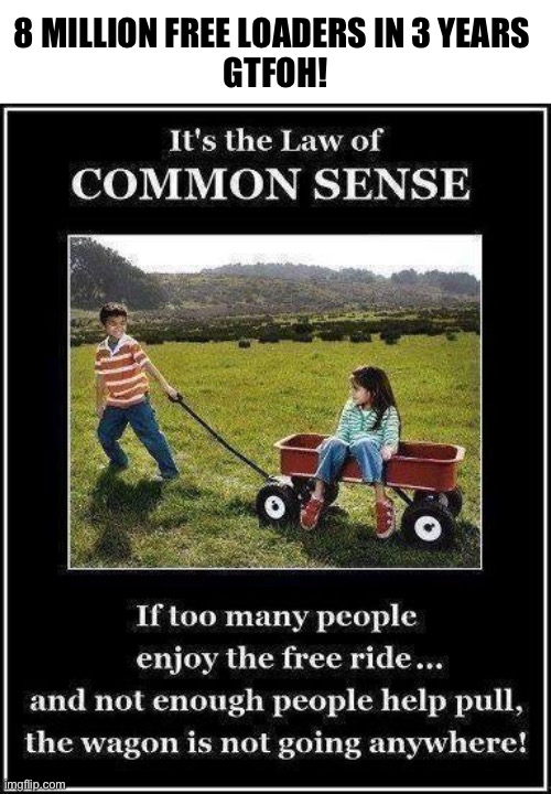 Common sense isn’t so common | 8 MILLION FREE LOADERS IN 3 YEARS 
GTFOH! | image tagged in common sense | made w/ Imgflip meme maker