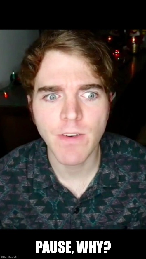 Shane Dawson Paused  | PAUSE, WHY? | image tagged in shane dawson paused | made w/ Imgflip meme maker