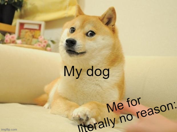 PAT PAT | My dog; Me for literally no reason: | image tagged in memes,doge 2 | made w/ Imgflip meme maker