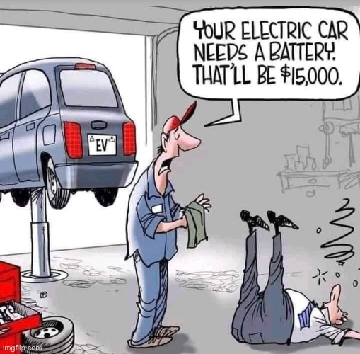 Electric car | image tagged in e v service,new battery,15000 dollars,comics | made w/ Imgflip meme maker