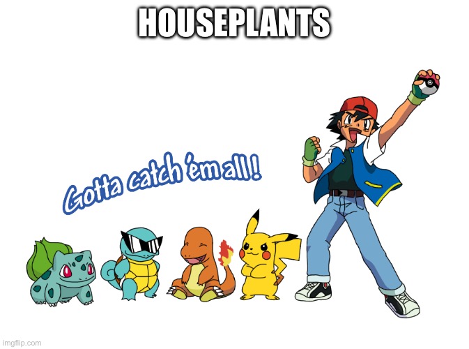 Poképlants | HOUSEPLANTS | image tagged in gotta catch em all,houseplants,hoarding,pokemon | made w/ Imgflip meme maker