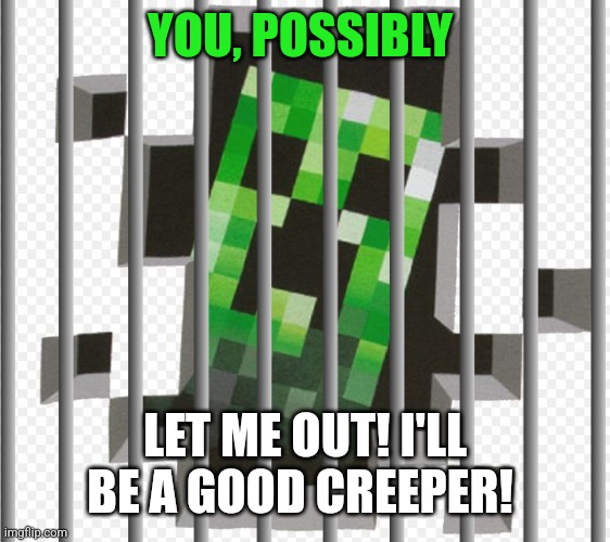 YOU, POSSIBLY LET ME OUT! I'LL BE A GOOD CREEPER! | made w/ Imgflip meme maker