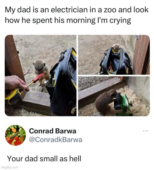 This was such a wholesome post | image tagged in wholesome,electricity,zoo,monkey | made w/ Imgflip meme maker