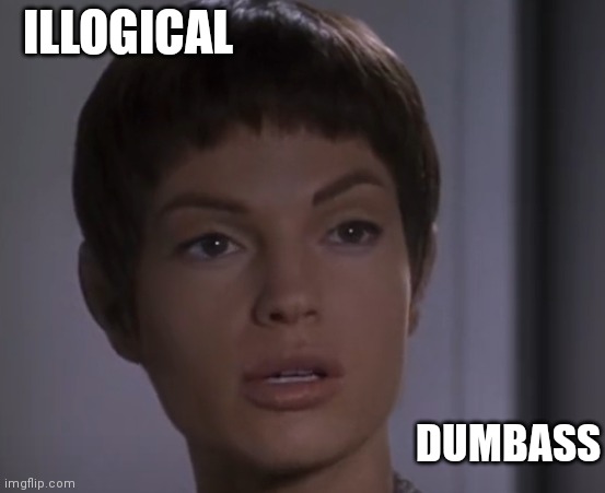 She calls'em as she sees 'em | ILLOGICAL; DUMBASS | image tagged in illogical | made w/ Imgflip meme maker