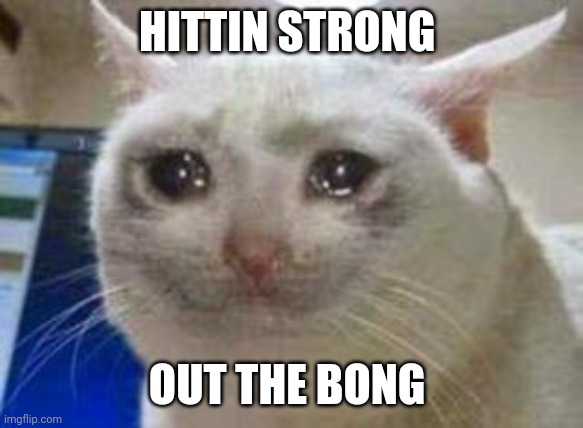 Strong bong | HITTIN STRONG; OUT THE BONG | image tagged in sad cat,strong,bong,rip,tears | made w/ Imgflip meme maker