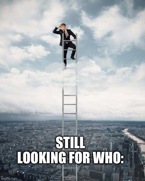 Ladder | STILL LOOKING FOR WHO: | image tagged in ladder | made w/ Imgflip meme maker