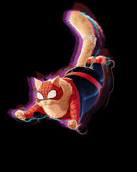 spider cat Blank Meme Template